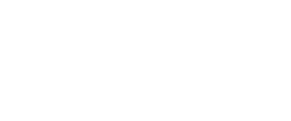 Digital Flamingo